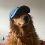 Profile photo of Astrid