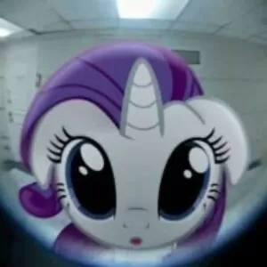 Profile photo of sara